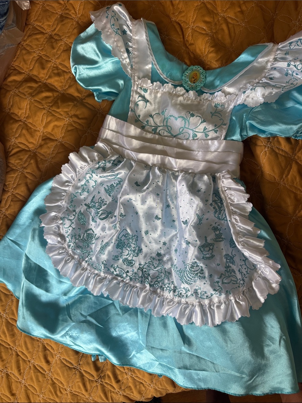 Disney Alice in Wonderland costume dress size 5/6